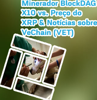 Criptomoeda vet BRL