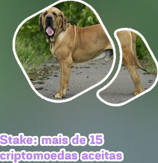 Criptomoedas mais famosas Real brasileiro