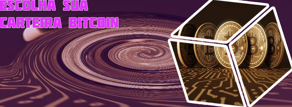 Maiores carteiras de bitcoin Real