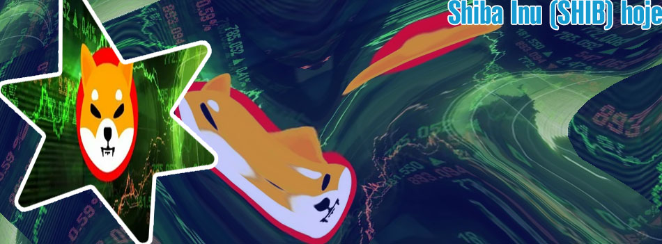 Valor shiba inu hoje